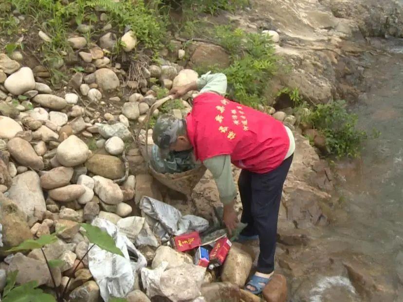 奥门精准资料免费大全,警惕虚假宣传,构建解答解释落实