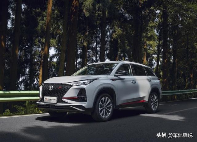 2025澳门一码一码天天开好彩，详细解答、全面解答解释落实