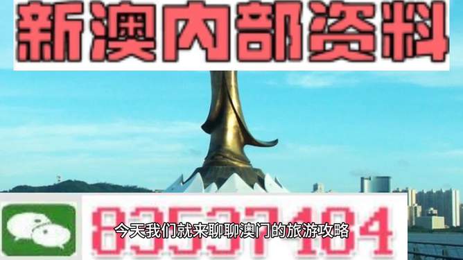 澳门精准资料大全免费查询,正版资料精选解析、解释与落实、精准解答解释落实