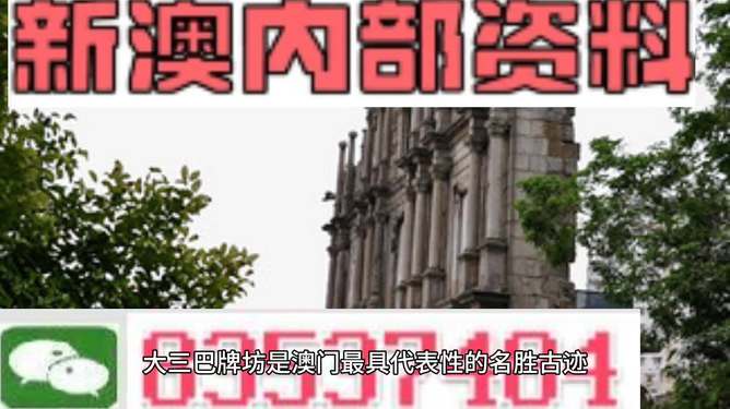 澳门最精准的资料免费公开，全面释义、详细解答解释落实