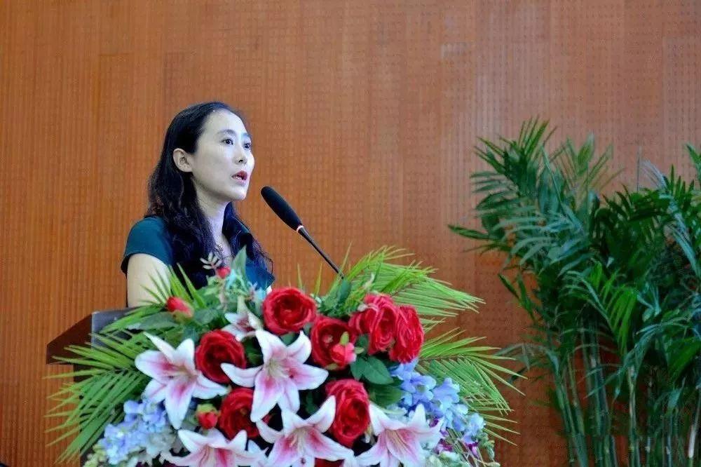 新澳2025今晚开奖资料精华区,警惕虚假宣传、全面解答、构建解答解释落实