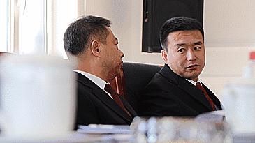 2025新奥最精准免费大全,警惕虚假宣传,实时解答解释落实