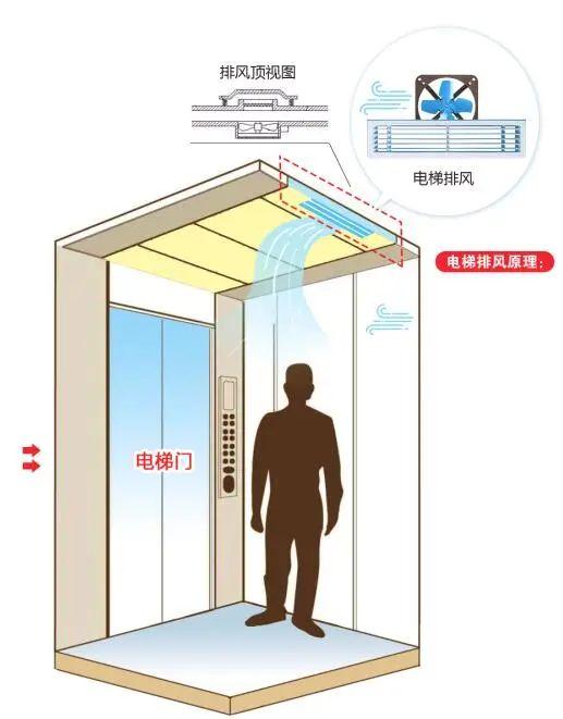 澳门天天免费精准大全内容，详细解答、定量解答解释落实