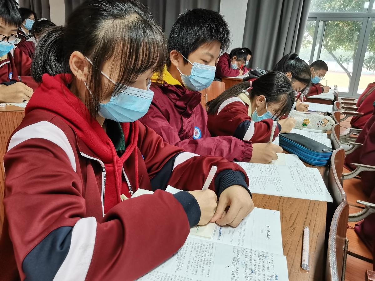 新澳资料准确资料公开,警惕虚假宣传,构建解答解释落实