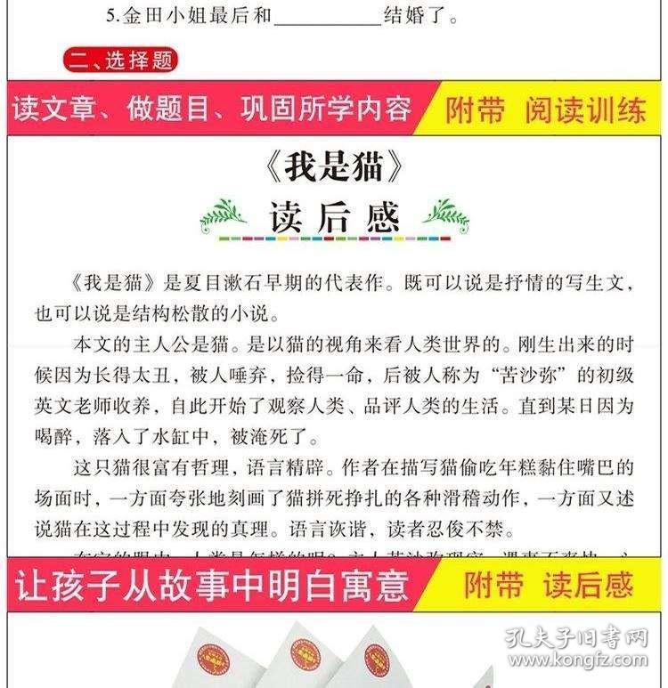 新澳天天开奖资料大全600tK全面释义、深度解答解释落实