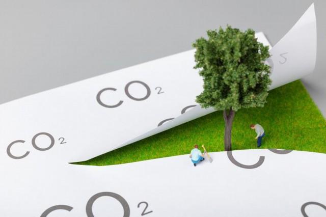 2025新奥最新资料大全请全面2释义、解释与落实、构建解答解释落实