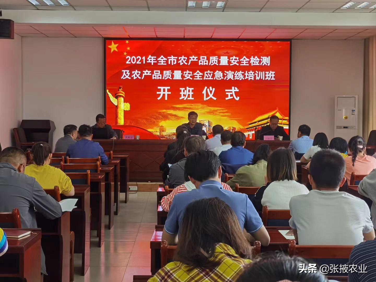 2025新澳精准正版四不像免费仔细释义、解释与落实、定量解答解释落实