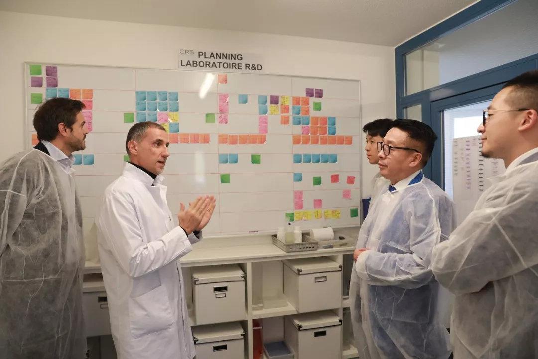 2025港澳资料网站精选解析、解释与落实、前沿解答解释落实