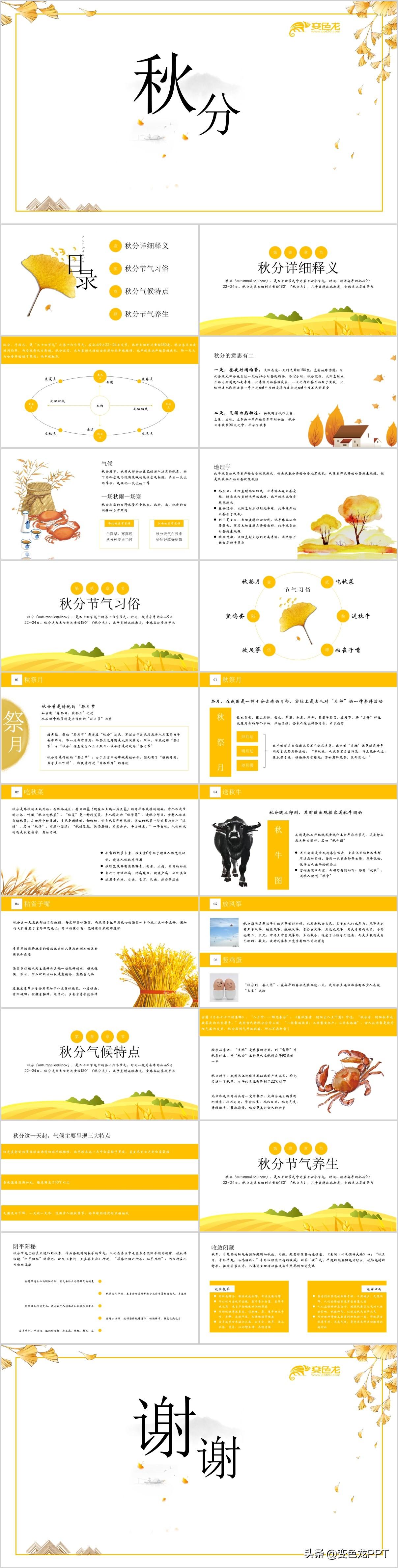 澳门正版内部免费资料的警惕虚假宣传-全面释义、解释与落实、实证解答解释落实