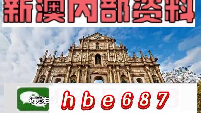 澳门特马网站免费入口，详细解答、详细解答解释落实