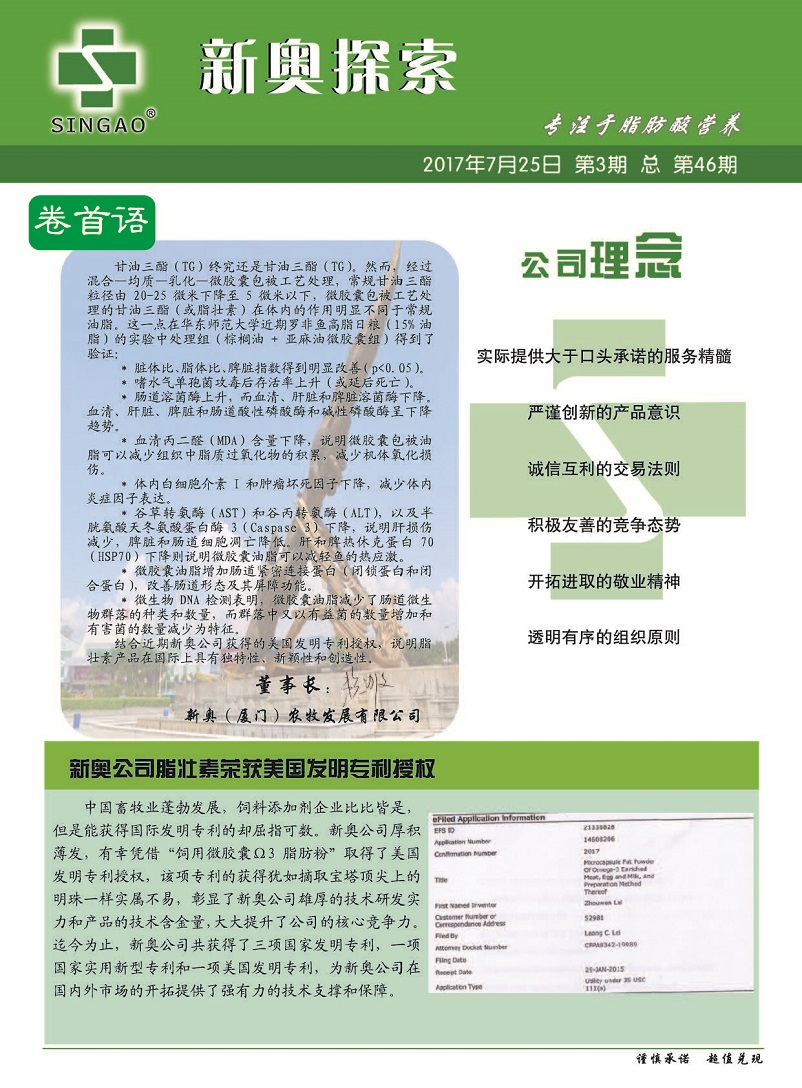 新澳2025精准内幕消息详细解答、深度解答解释落实