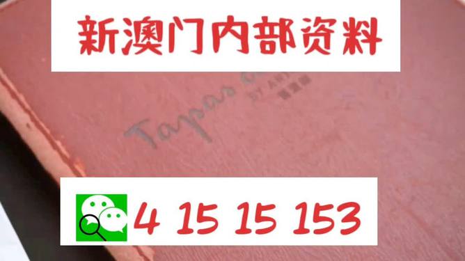 澳门一门一期精准材料仔细释义、解释与落实、专家解答解释落实