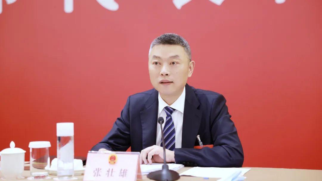 2025新澳精准正版四不像免费仔细释义、解释与落实、定量解答解释落实