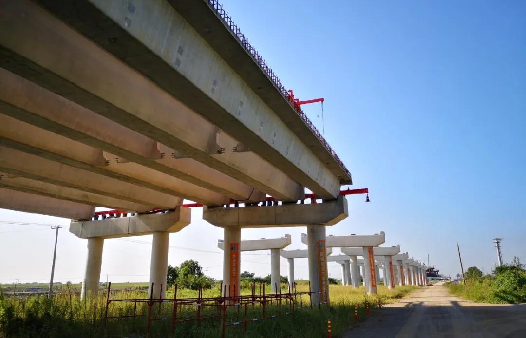 2025新澳门精准免费大全73期详细解答、解释与落实、构建解答解释落实