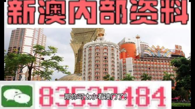 澳门精准资料大全免费查询,正版资料精选解析、解释与落实、精准解答解释落实