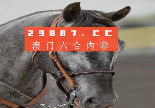 澳门一肖一码一特中今晚,警惕虚假宣传-全面释义、解释与落实、构建解答解释落实