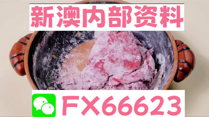 新澳门内部一码精准公开网站,警惕虚假宣传,全面解答解释落实