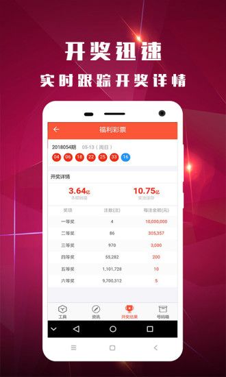 2025澳门今晚开奖号码四不像，详细解答、构建解答解释落实