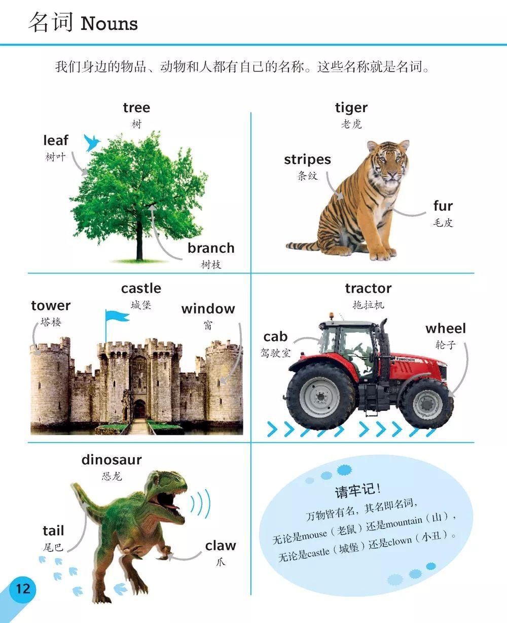 2025精准四不像资料的警惕虚假宣传-全面释义、解释与落实、科学解答解释落实