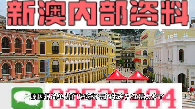 澳门最精准的资料免费公开，全面释义、详细解答解释落实