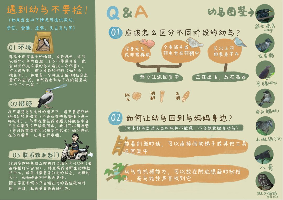 7777788888管家婆兔费十码必中与警惕虚假宣传-全面释义、实证解答解释落实