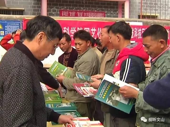 管家婆7777788888期，全面释义、详细解答解释落实