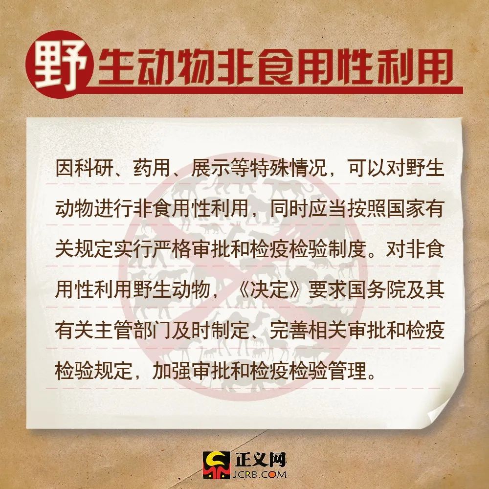 2025澳门天天免费精准大的全面释义、解释与落实、详细解答解释落实