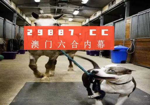 一肖一码澳门全面释义、实时解答解释落实