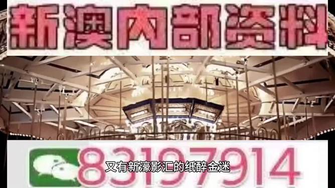 今晚澳门特马开奖结果,新澳精选解析、解释与落实、定量解答解释落实