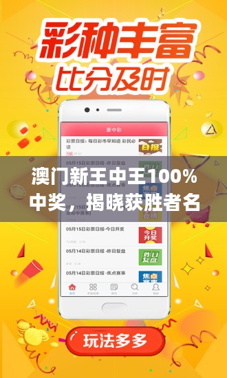 澳门王中王100%的资料一警惕虚假宣传、全面解答与解释、精准解答解释落实