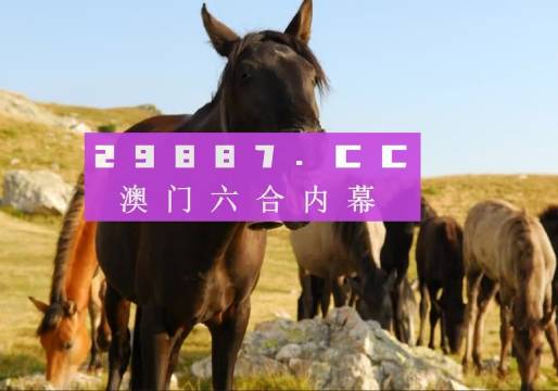 澳门与香港管家婆100%详细定义词、警惕虚假宣传-全面释义、定量解答解释落实
