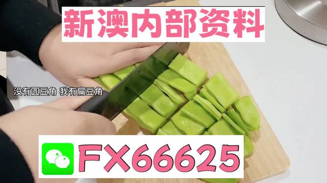 新澳精准资料免费提供,警惕虚假宣传-全面释义、解释与落实、综合解答解释落实