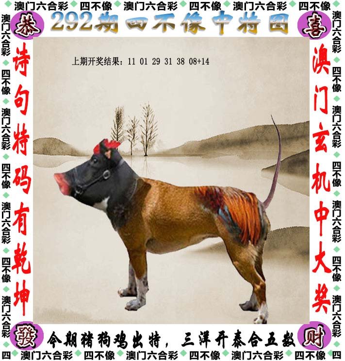 澳门今晚开的四不像,警惕虚假宣传-全面释义、解释与落实、专家解答解释落实