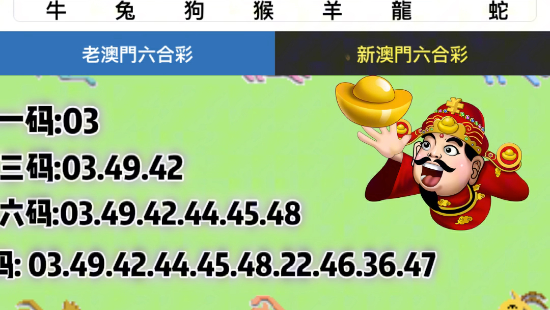 2025新澳门正版新澳免费资本三肖防三肖，全面释义、时代解答解释落实