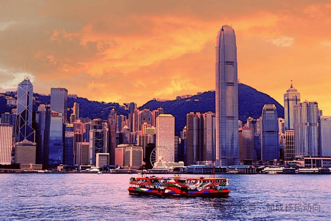 大三巴一肖一码中香港警惕虚假宣传、全面解答与解释、实时解答解释落实