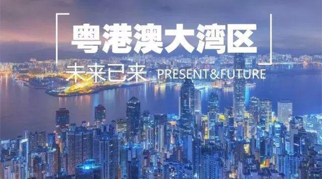 2025年新澳门最精准正版免费的警惕虚假宣传-精准解答解释落实