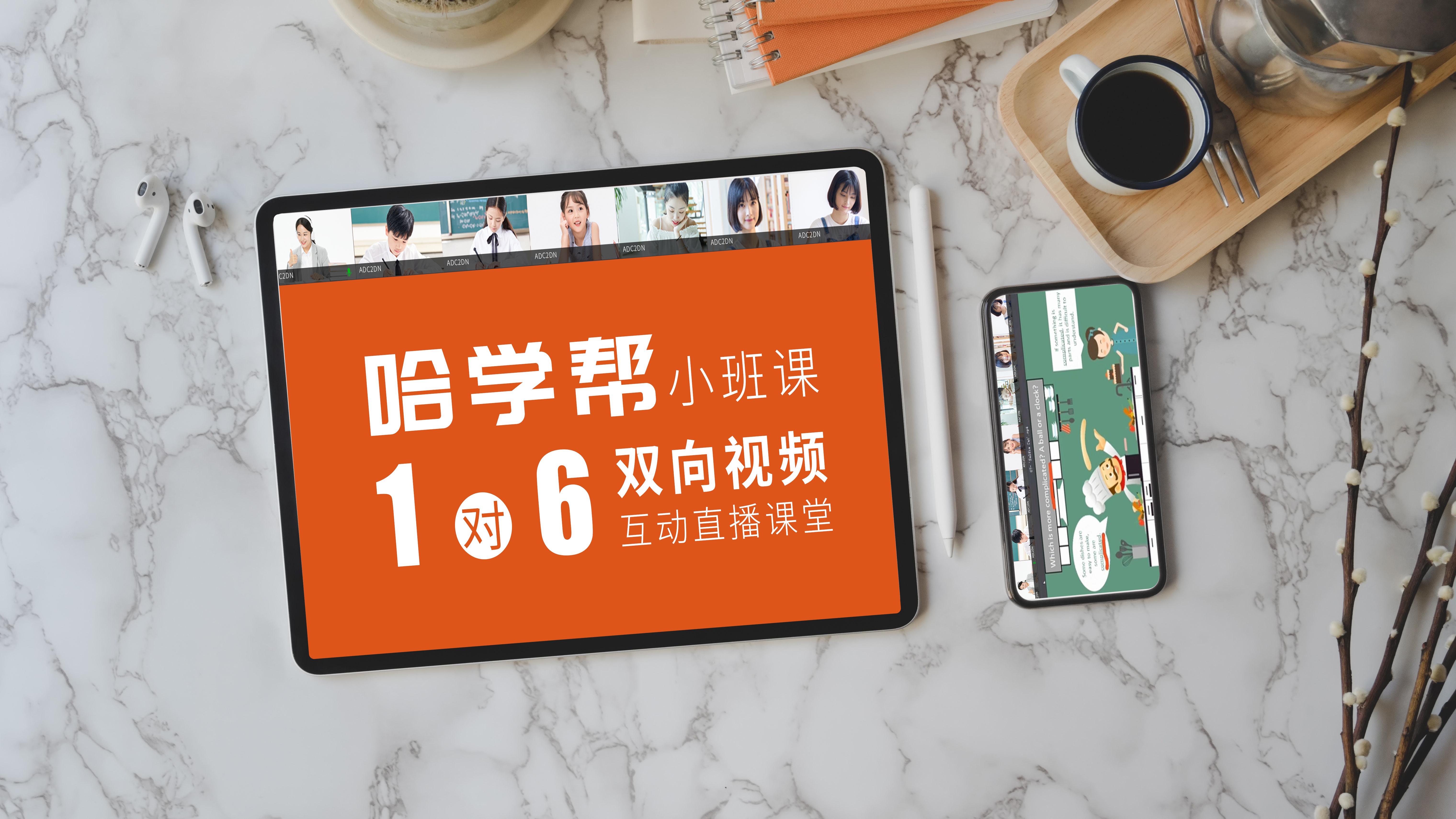 新澳门天天免费精准资料分享,警惕虚假宣传,专家解答解释落实