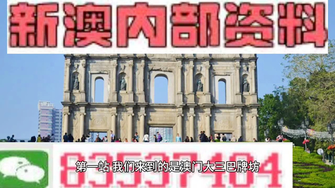 澳门正版资料免费，全面释义、科学解答解释落实