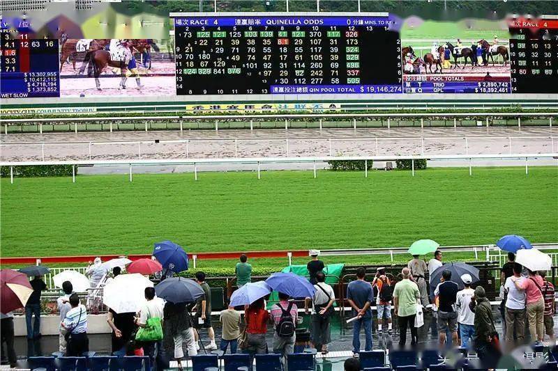 香港赌马49,警惕虚假宣传落实,时代解答解释落实