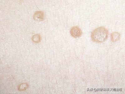 新澳门资料大全，详细解答、全面解答解释落实