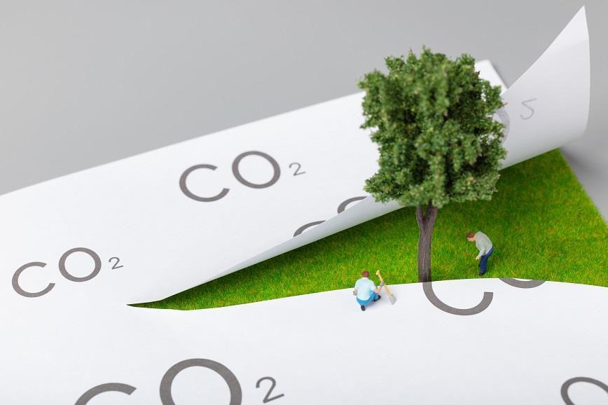 新澳2025年最新版官方文件精选解析、解释与落实、实时解答解释落实