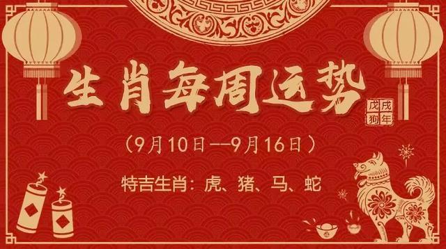 香港今晚必开一肖是295,警惕虚假宣传,实时解答解释落实