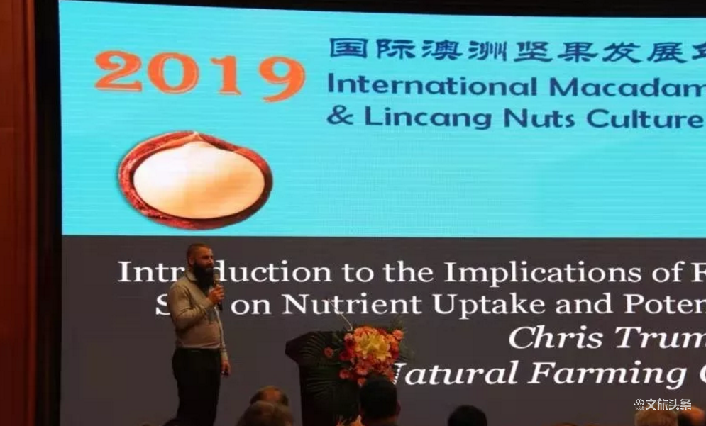 新澳最精神免费大全,警惕虚假宣传落实,科学解答解释落实