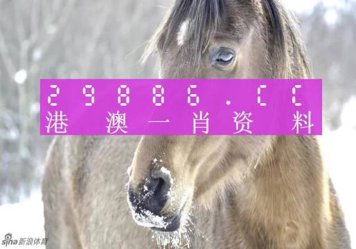 澳门一肖一码中持一，全面释义、综合解答解释落实