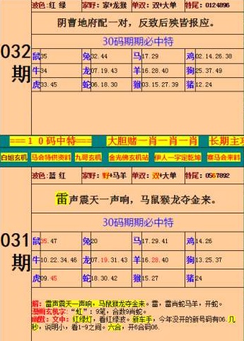 今晚澳门特马必中一肖的全面释义、解释与落实、详细解答解释落实