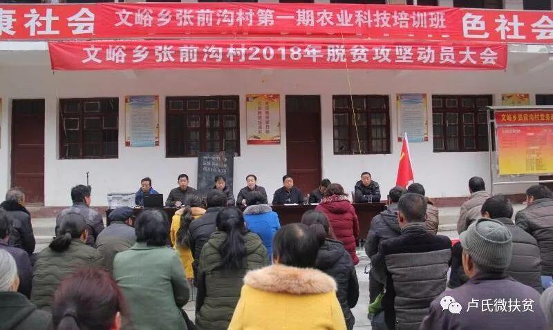 2025新澳门天天免费精准,澳门天天开彩精选解析、解释与落实、前沿解答解释落实