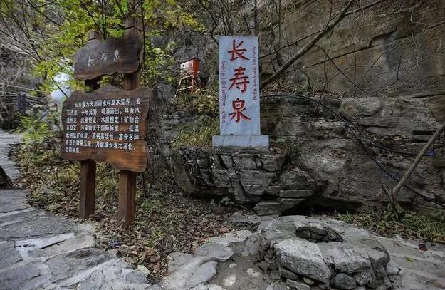 天天香港资料大全,警惕虚假宣传落实,综合解答解释落实