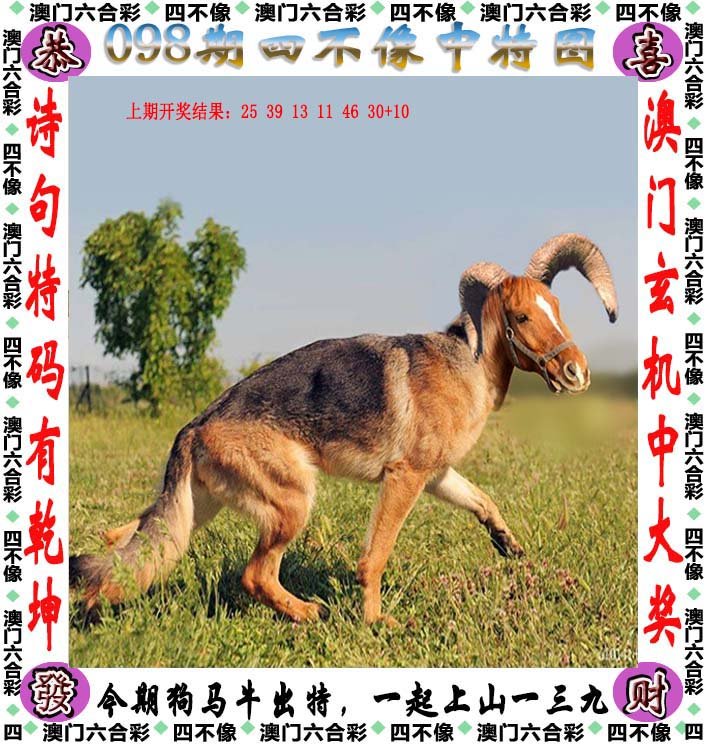 新澳2025今晚开奖资料四不像数据,警惕虚假宣传落实,深度解答解释落实