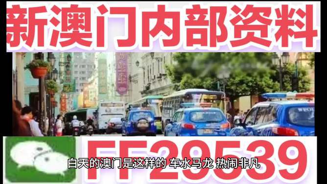 2025澳门今晚开奖号码四不像，详细解答、构建解答解释落实