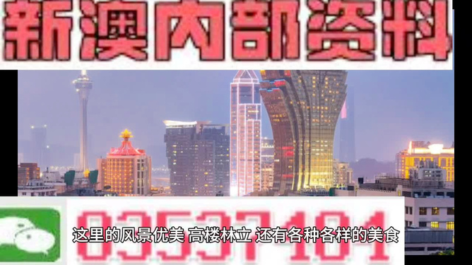 新澳期期精准宏泰，全面释义、定量解答解释落实